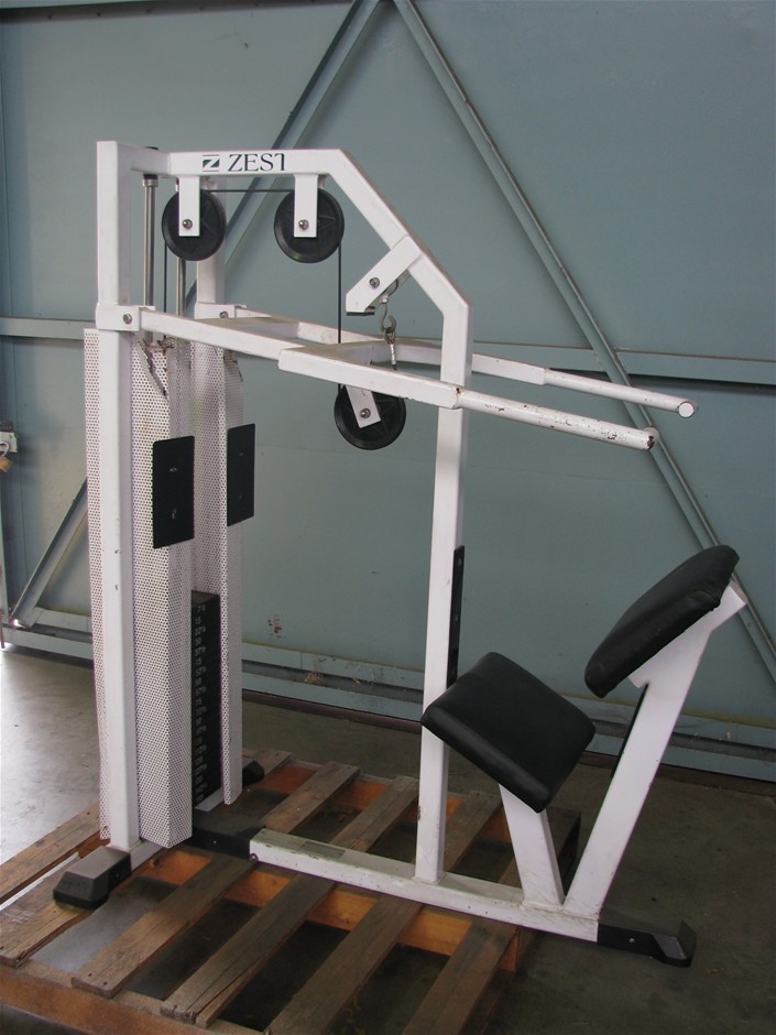 Tricep dip machine Zest pin load type white metal frame black