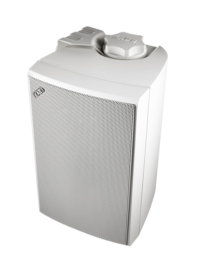 Acoustic Energy Extreme 5 Outdoor Speake