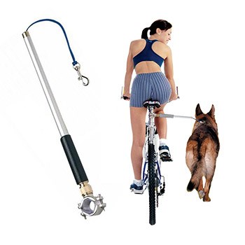 Walkydog Bike Trainer
