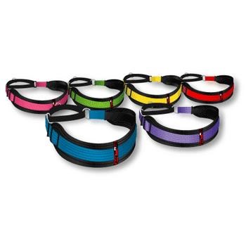 Black Dog Whippet Collar Two Tone Purple