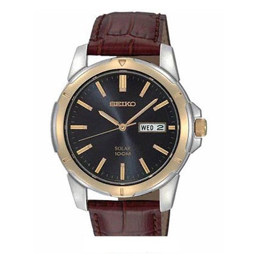 Seiko Men's Watch Model SNE102