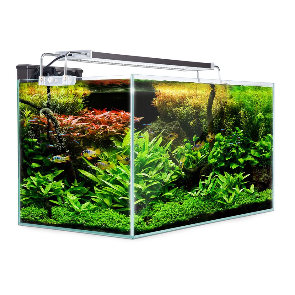 Aquarium Starfire Glass Aquarium Fish Ta