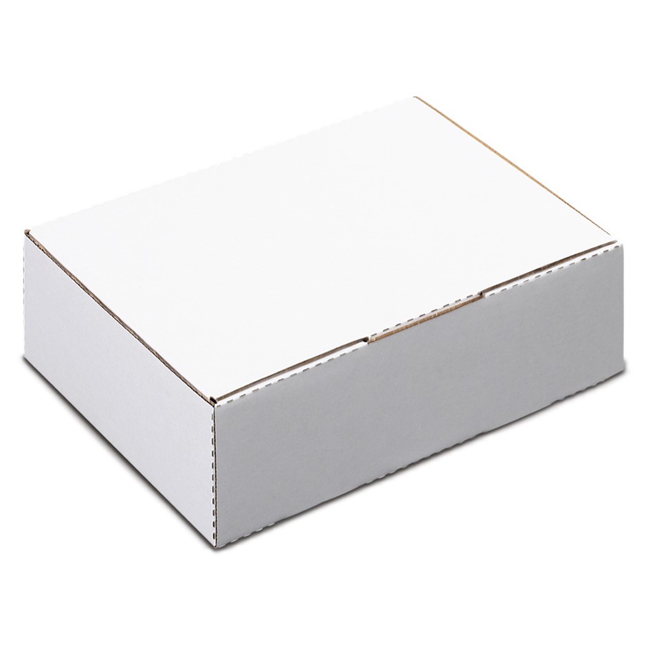 100x Mailing Box A5 220x160x77mm BX1 B1 