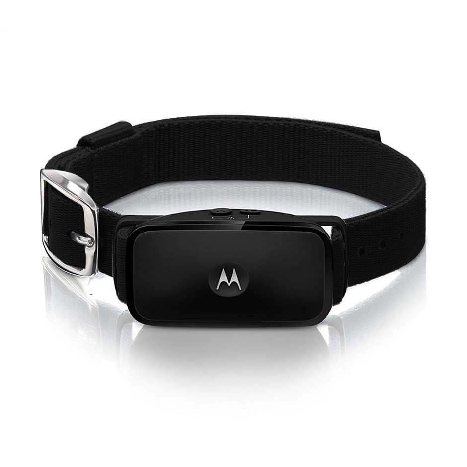 Motorola bark sale 200u