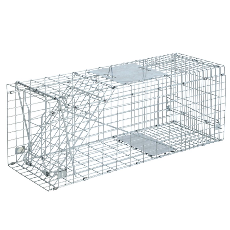 Buy Extra Large Humane Animal Trap Cage Possum Fox Koala ...