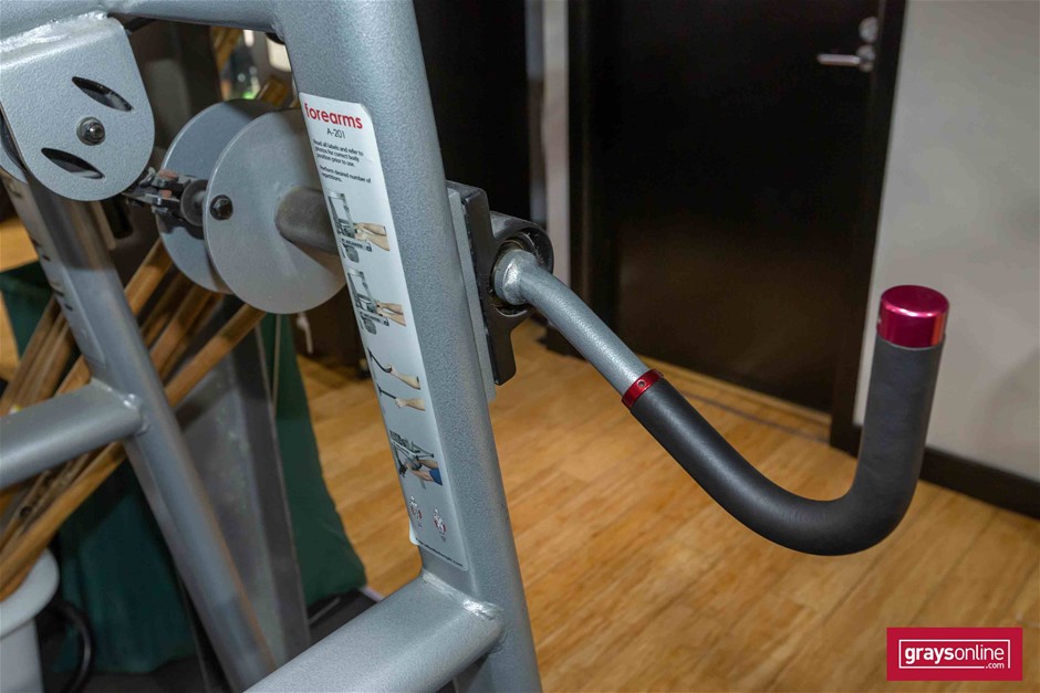 Atlantis A 201 Multi Forearm Machine Auction 0021 5040402 Grays Australia