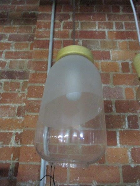 1.13 Carats Orange Sapphire