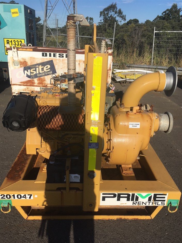 ADVENT Women's Tailor Pleated Shorts, Size M, Stone.  Buyers Note - Discoun