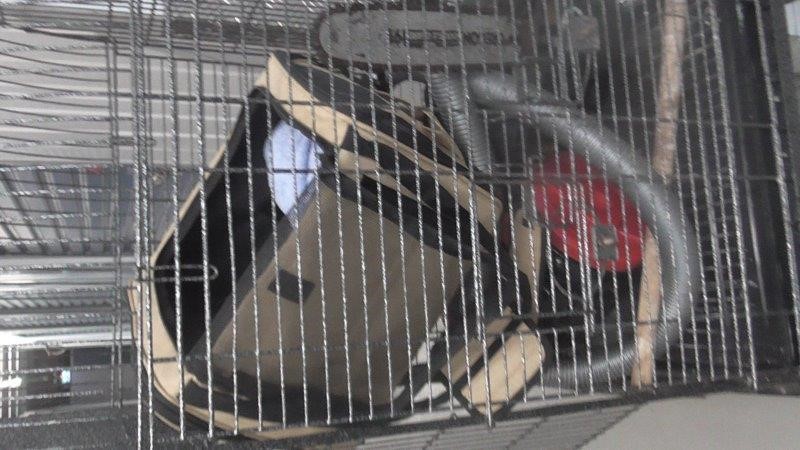 6mm Kunzite & Baroque Pearl Pendant Charm Bracelet