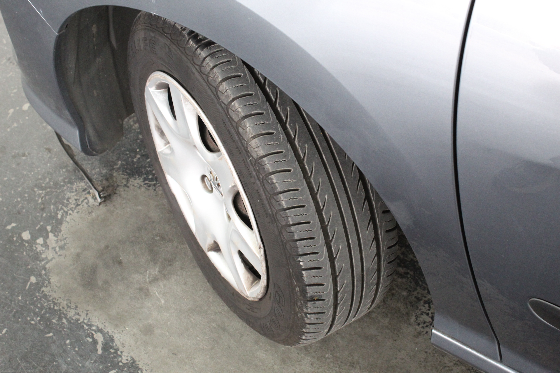 NEW!! LIMITED 2024 BLUEY DOLLARBUCK & BINGO $1 DOLLAR UNC Coin 2 CARD SET