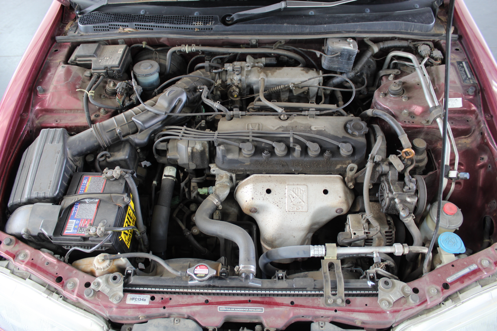 The Bowler Cleanskin Shiraz 2025 (12x 750mL) SA