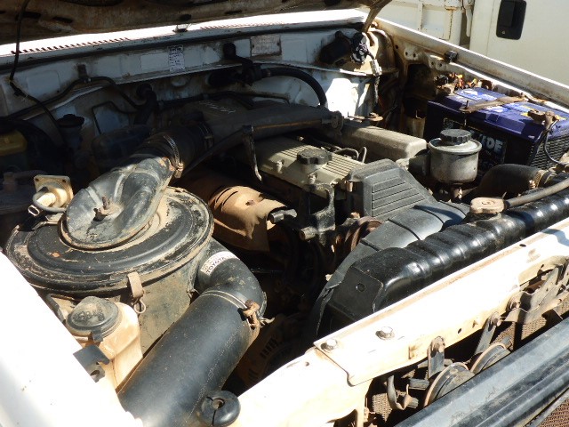 Designer Ball Chain Bracelet in Gold (adjustable)