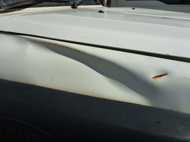 Designer White Floral Freshwater Pearl Drop Dangle Earrings in Silver