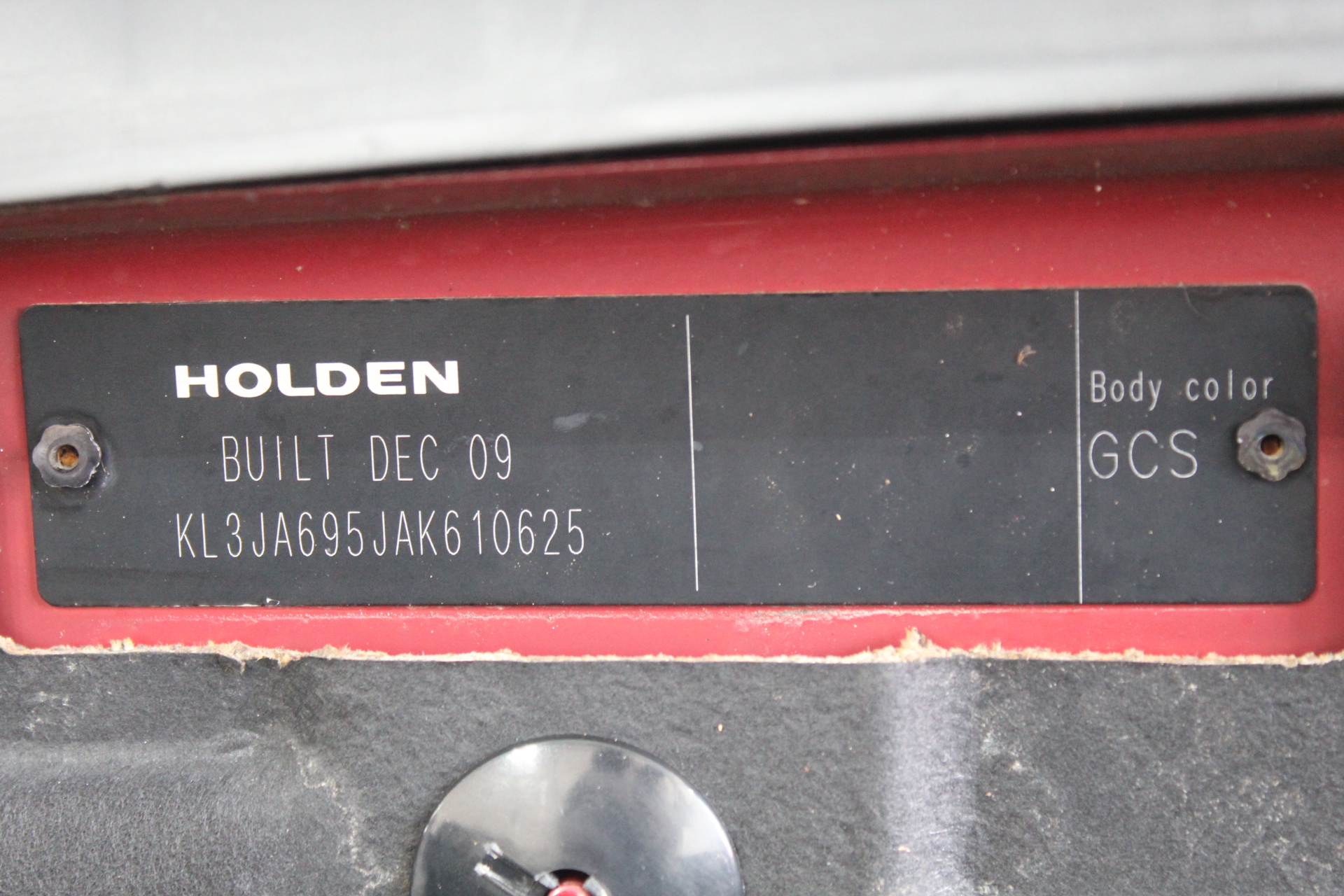 Bulk Pack of 5 Earrings in Gold