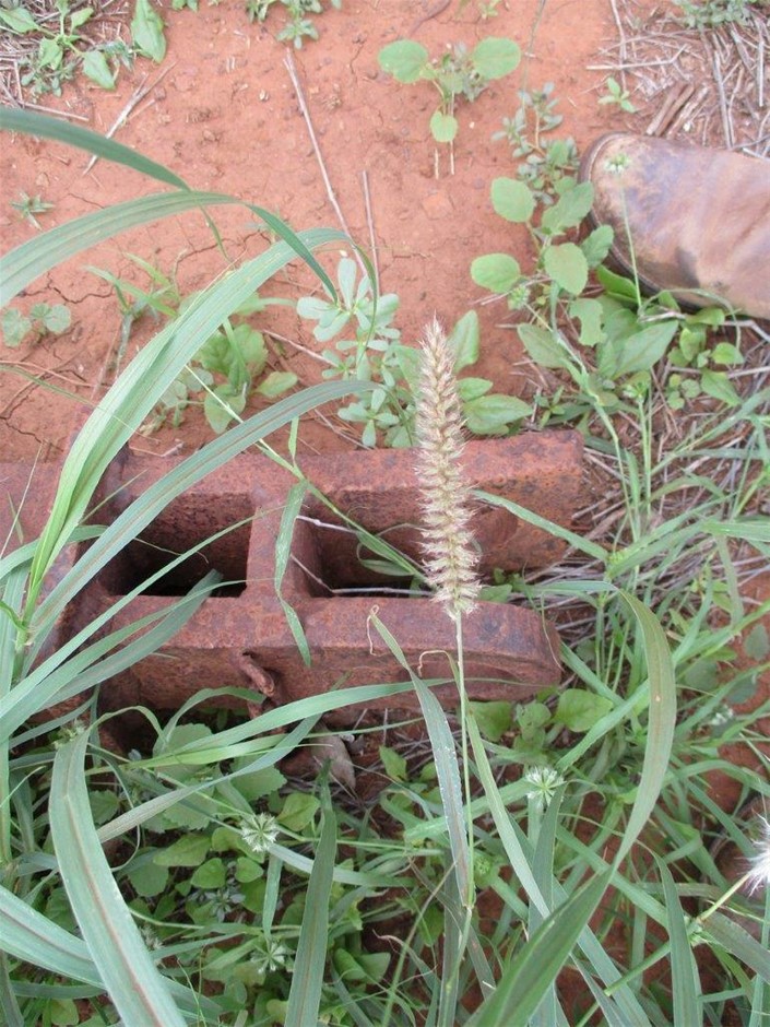 Epson TM-T88VI M338A Thermal Receipt Printer