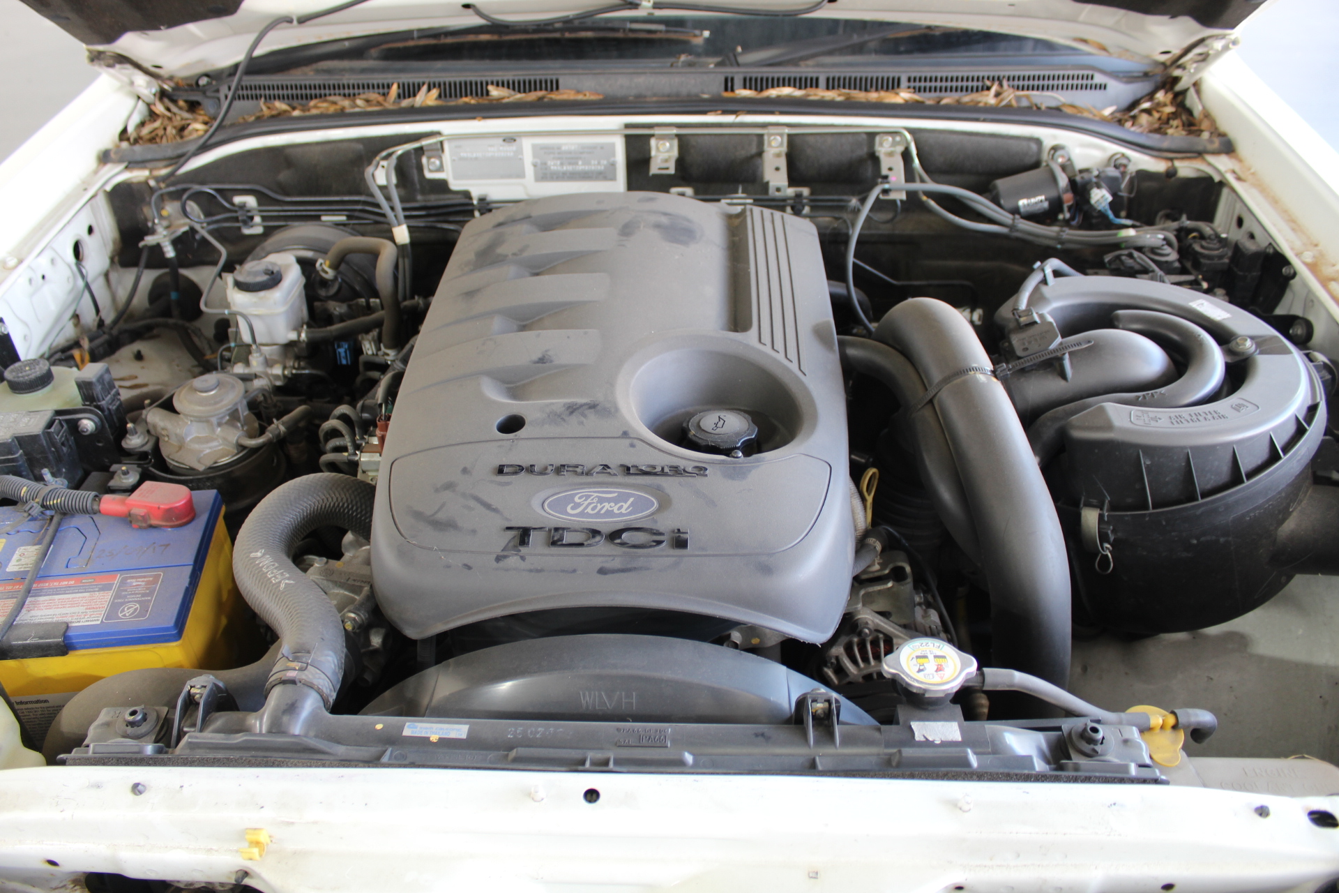 Grapple Bucket to Suit Skid Steer (Unused),