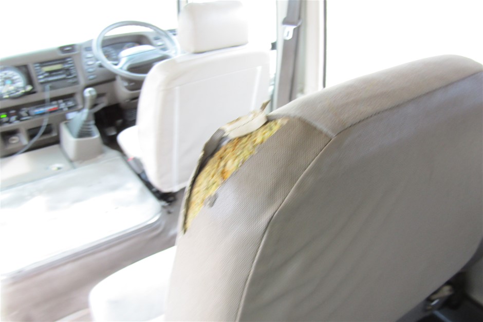 NEW!! LIMITED 2024 BLUEY DOLLARBUCK & BINGO $1 DOLLAR UNC Coin 2 CARD SET