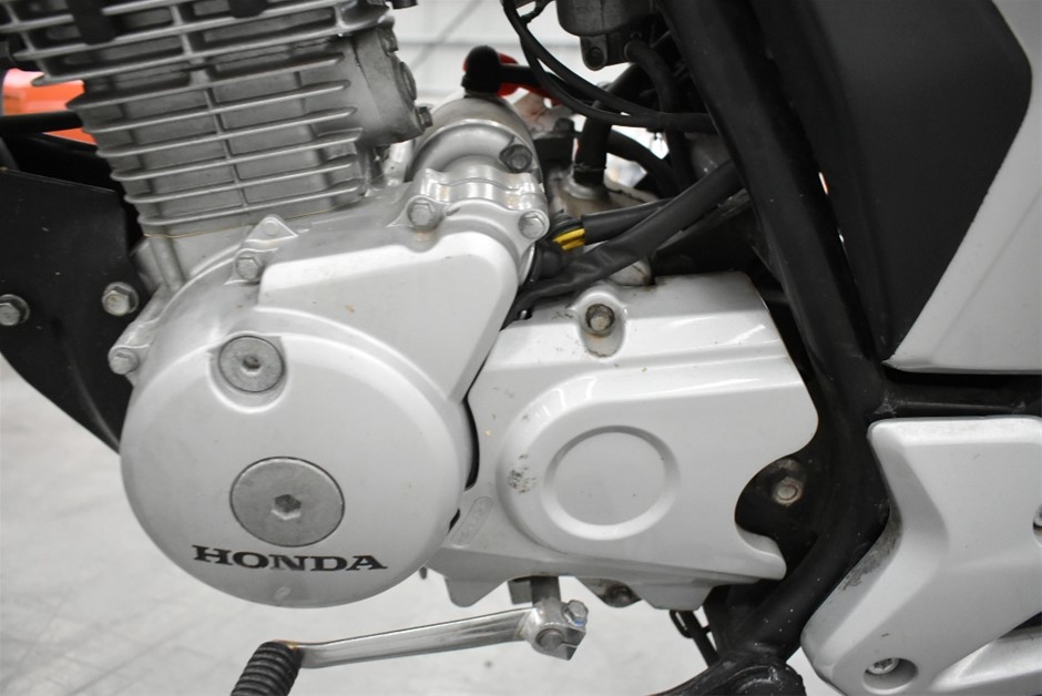 1200 Thread Count Egyptian Cotton Flat Sheet | Light Chocolate | Double