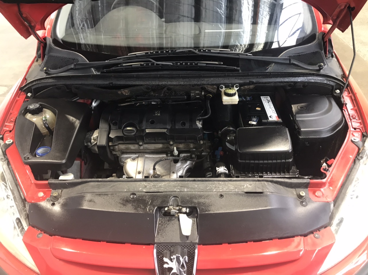 RIP CURL Women's Indio Crop Halter Bikini Top - Antique White, Size L. RRP: