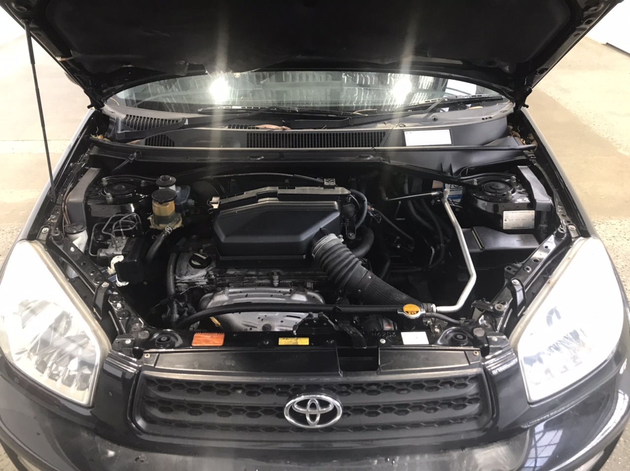 Classic Stainless Steel 3mm Curb Chain Bracelet - 9 Inches (Yellow)