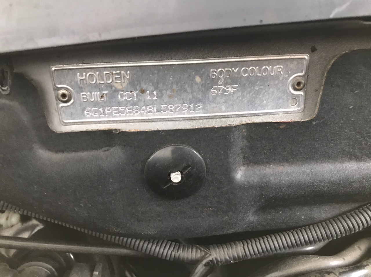 Mascara Miss Curl Black