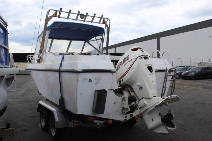 Cast Iron 200Lb Anvil (Unused)