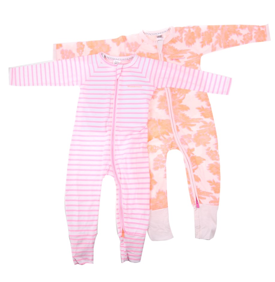 NEW!! LIMITED 2024 BLUEY DOLLARBUCK & BINGO $1 DOLLAR UNC Coin 2 CARD SET