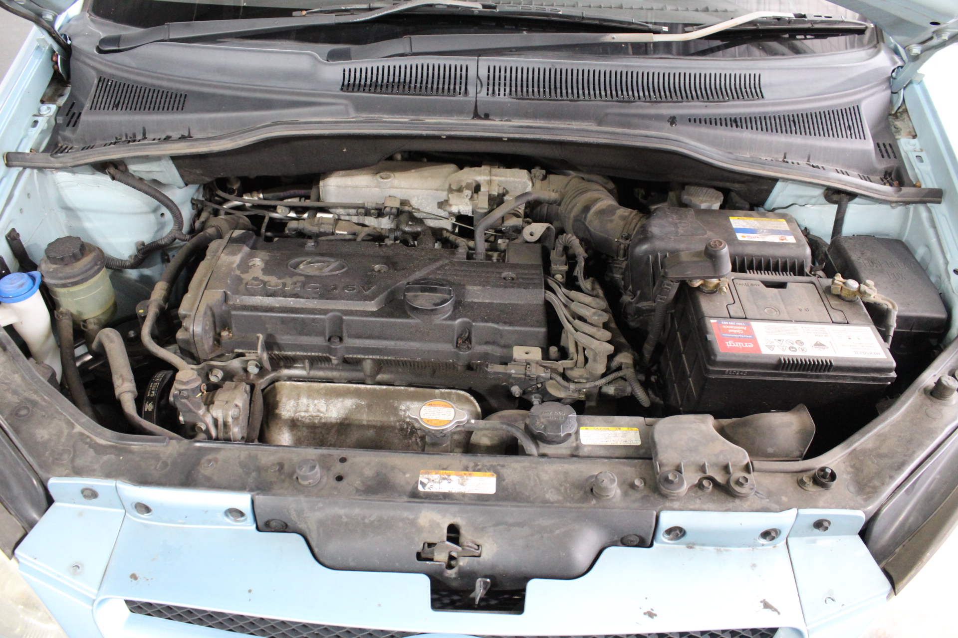 8pk CHAMPION Men's Crew Socks, Size 6-10, Cotton, White (WIT), SXRT8G.  Buy