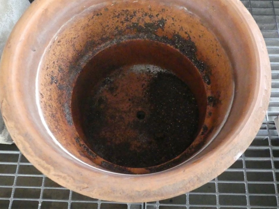 Byrne Reserve Cabernet Sauvignon 2023 (12x 750mL) SA