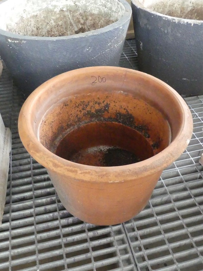 1000 Sundowns Cabernet Sauvignon 2022 (12x 750mL) Coonawarra