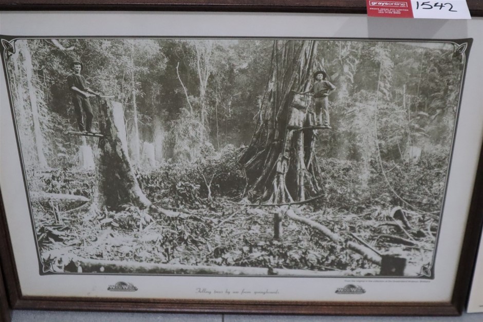 Atkins Farm Shiraz 2021 (6x 750mL) Langhorne Creek, SA