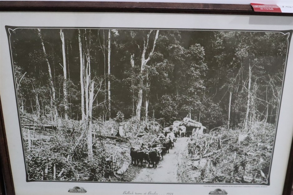 Aussarone Vine Dried Shiraz 2022 (6x 750mL) SA