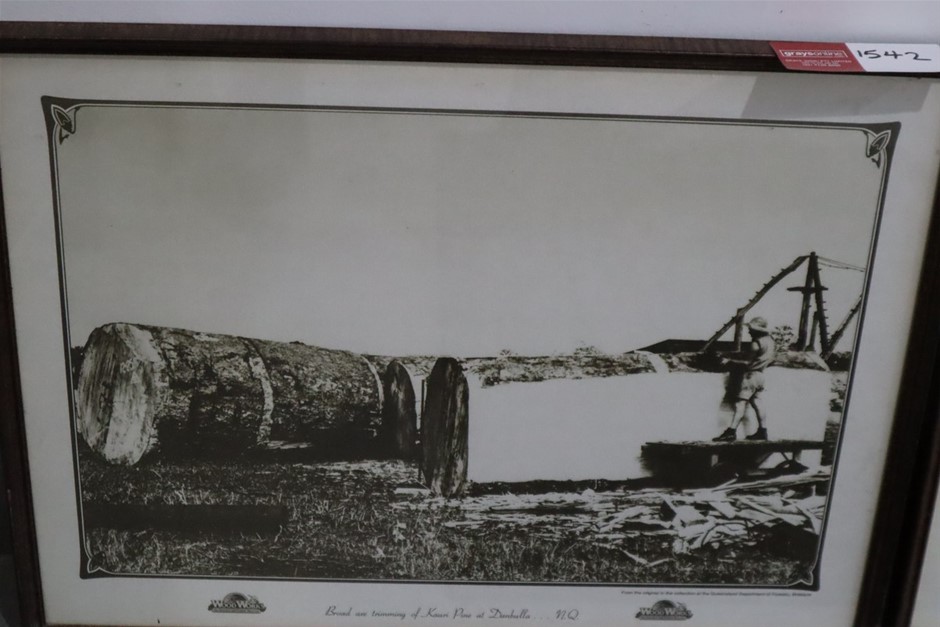 Aussimento Vine Dried Shiraz 2022 (6x 750mL) SA