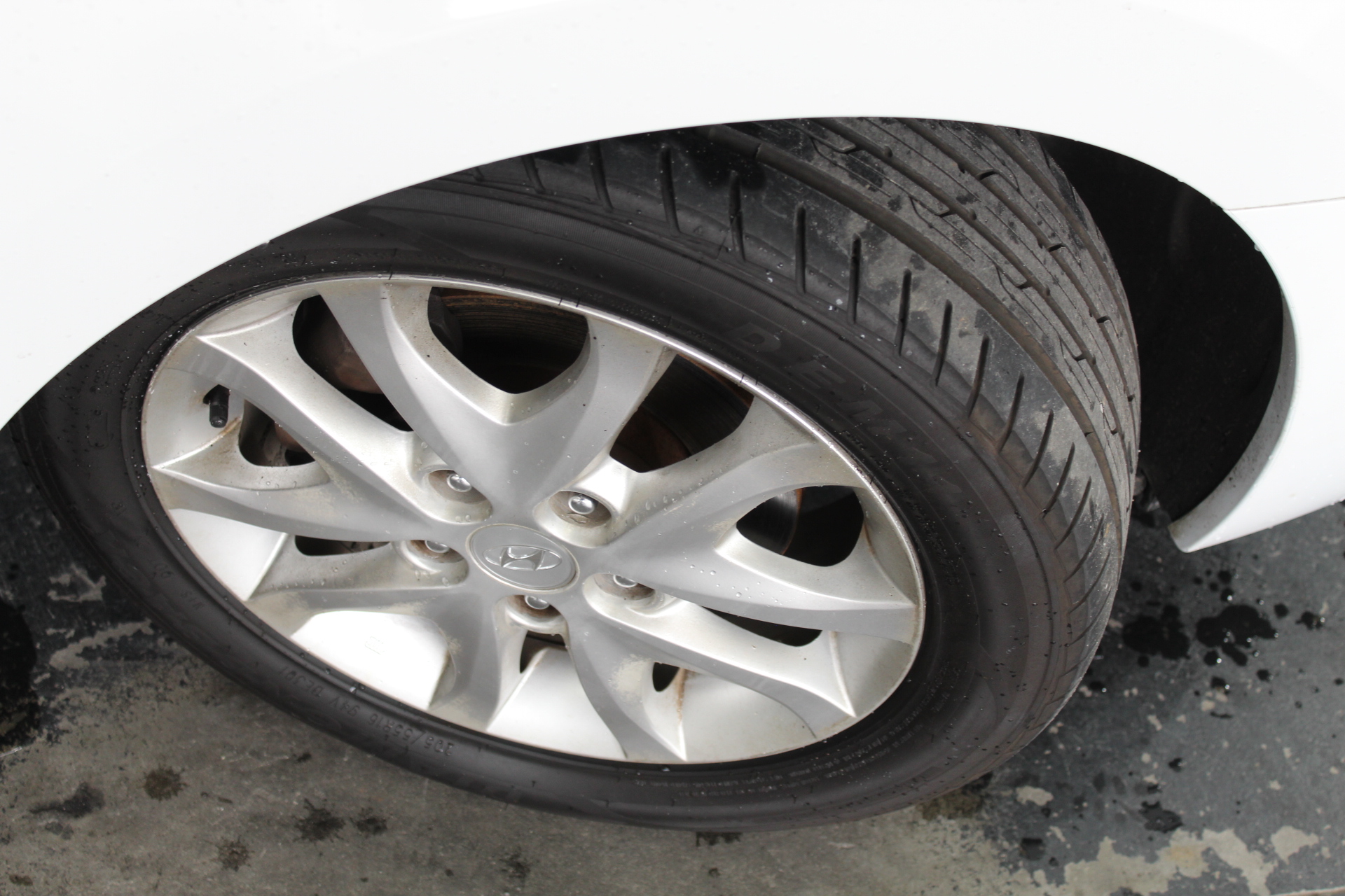 Echo Bay Pinot Grigio 2025 (12x 750mL) SEA