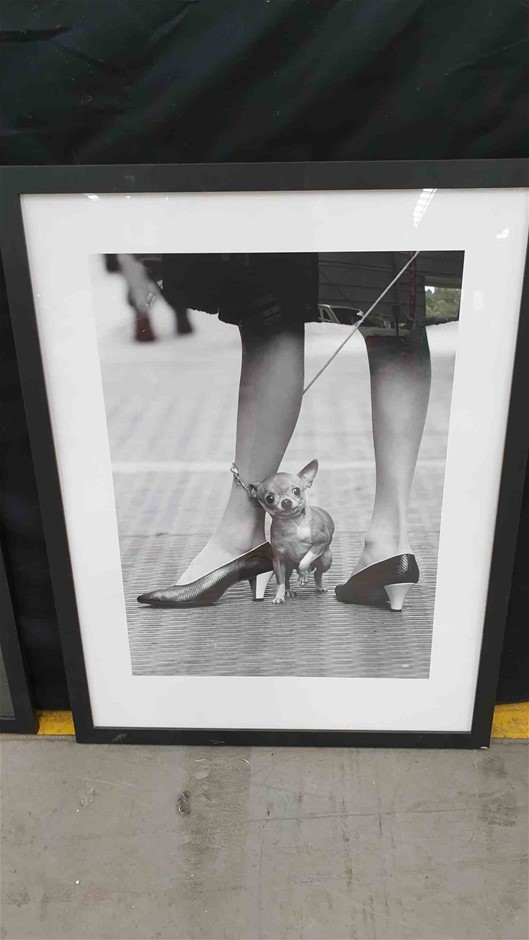 Roberts Estate Cabernet Sauvignon 2023 (12x 750mL) SEA