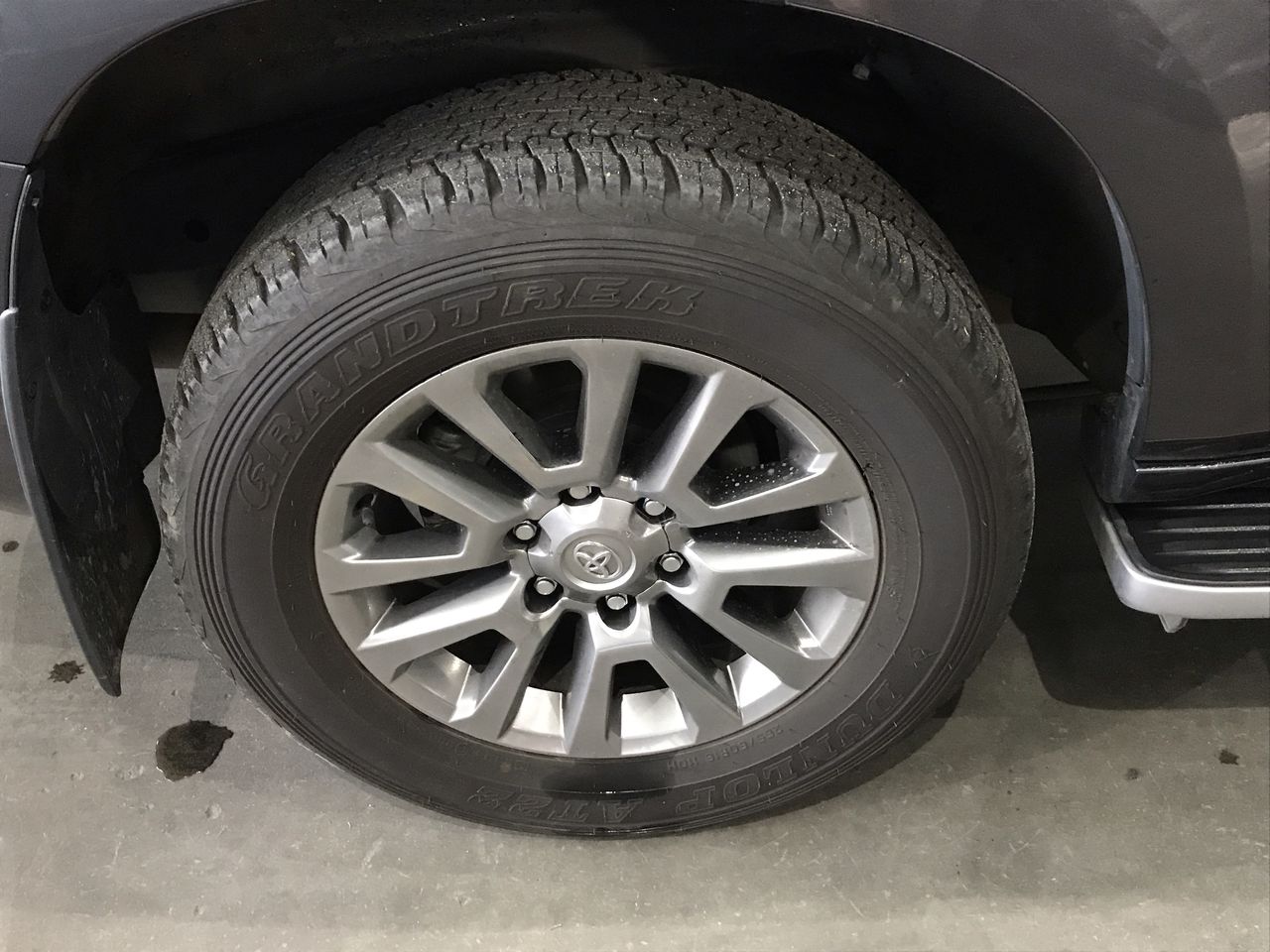 Elephant in the Room Chardonnay 2024 (6x 750mL).