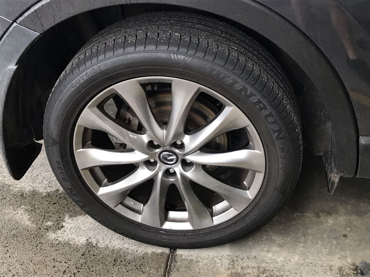 Thomson Estate Vine Dried Shiraz 2022 (12x 750mL) SA