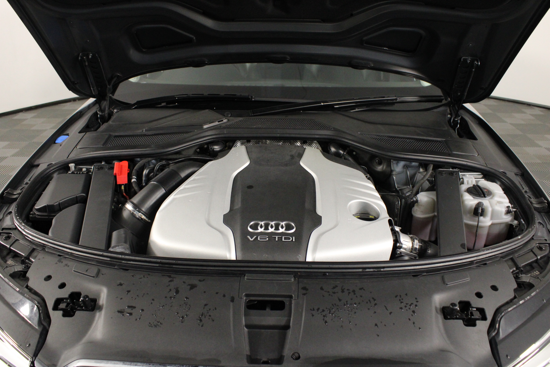 Pedal Raven Red/Maroon Bicycle