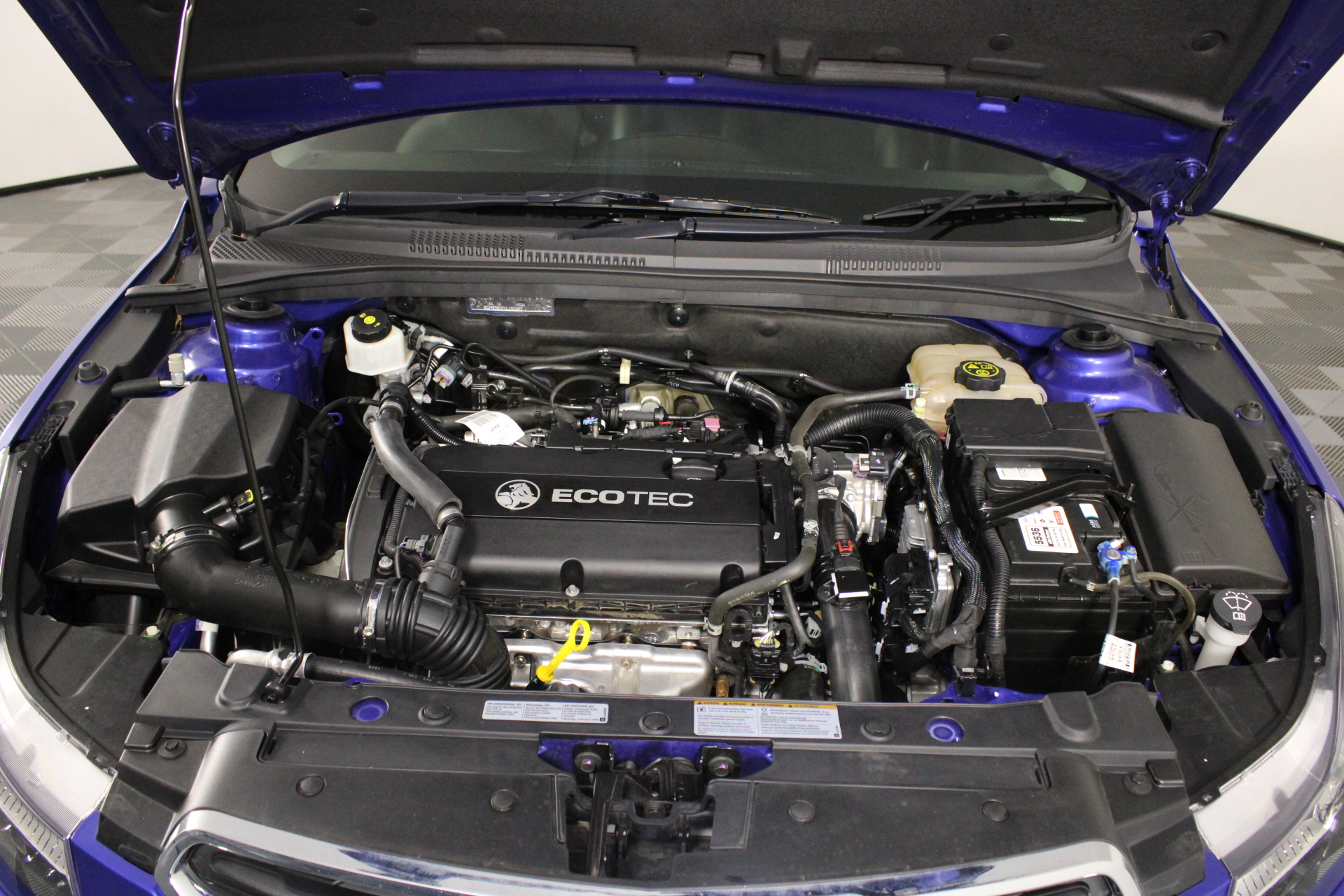 Unused Scalloped Disc Plates