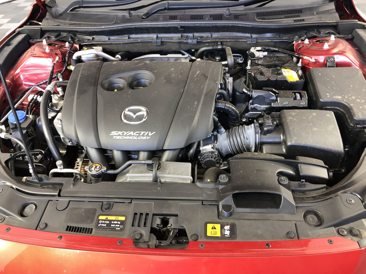 Phar Lap $5 Bimetallic Commemorative Coin