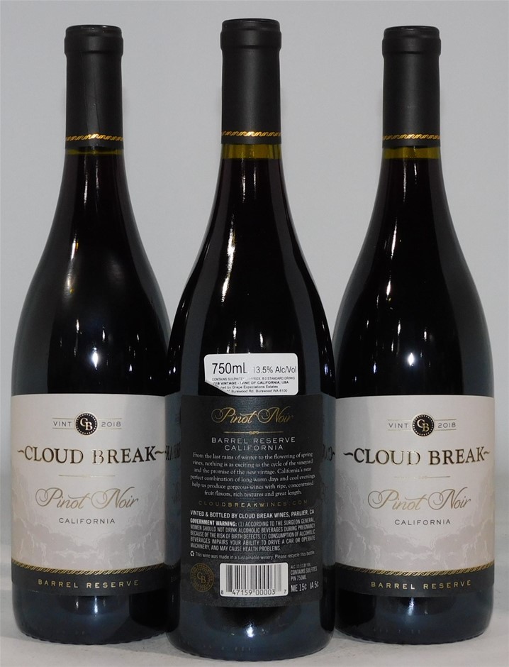 SEINLOES 4 Pack Expandable Pull Out Cabinet Organizer, 21"Deep with Raising