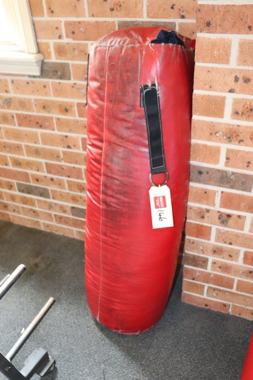 3.23 Carats  Pair Of Moissanites