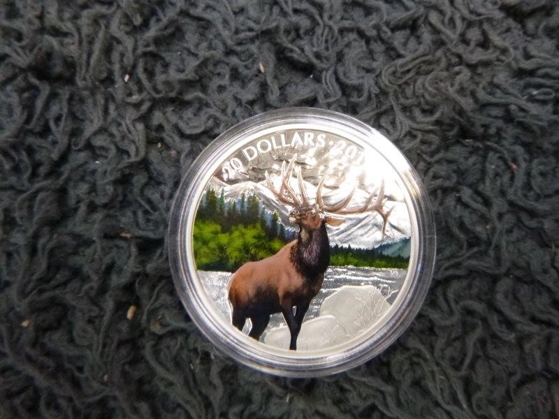 Pioneers First Patch Shiraz 2022 (12x 750mL) SA