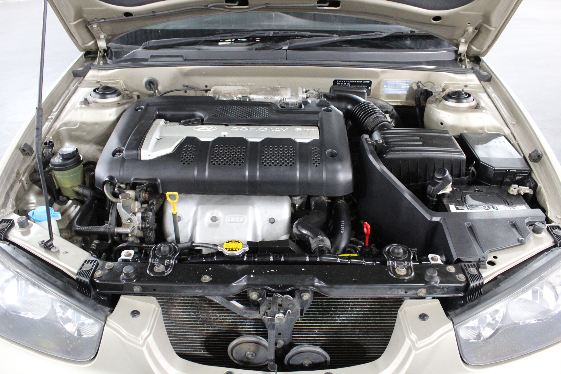 De Bortoli `The Accomplice` Shiraz (12x 750mL) Riverina