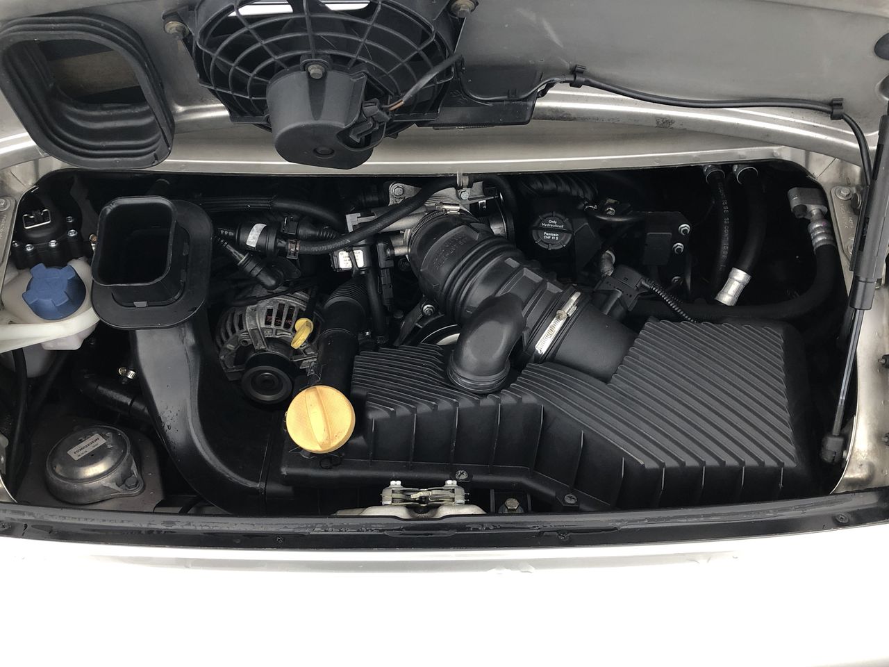 Zilzie Tendril & Vine Pinot Grigio 2025 (12x 750mL) VIC