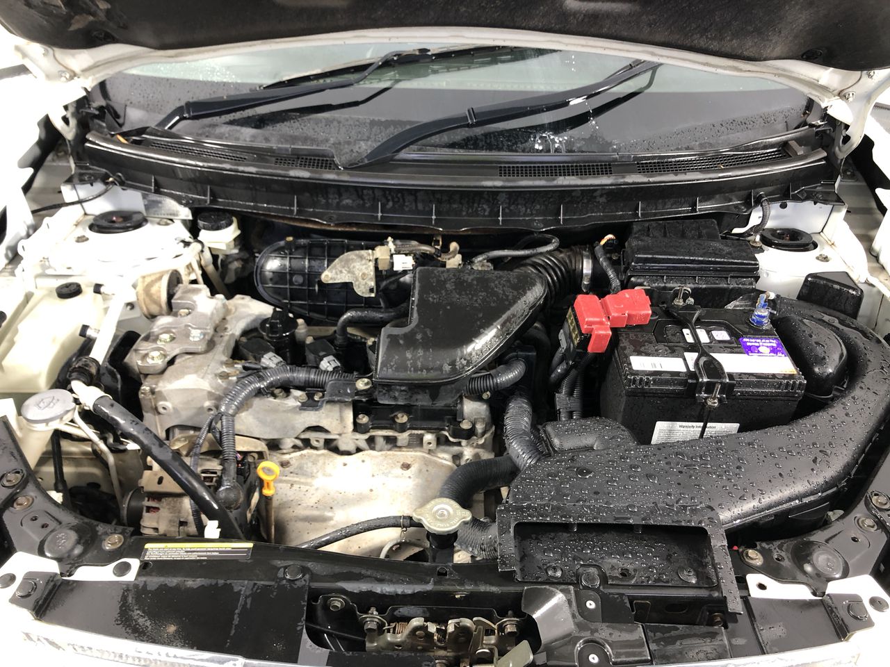 Peter Thompson Wines 2021 Merlot (12x 750mL), Coonawarra