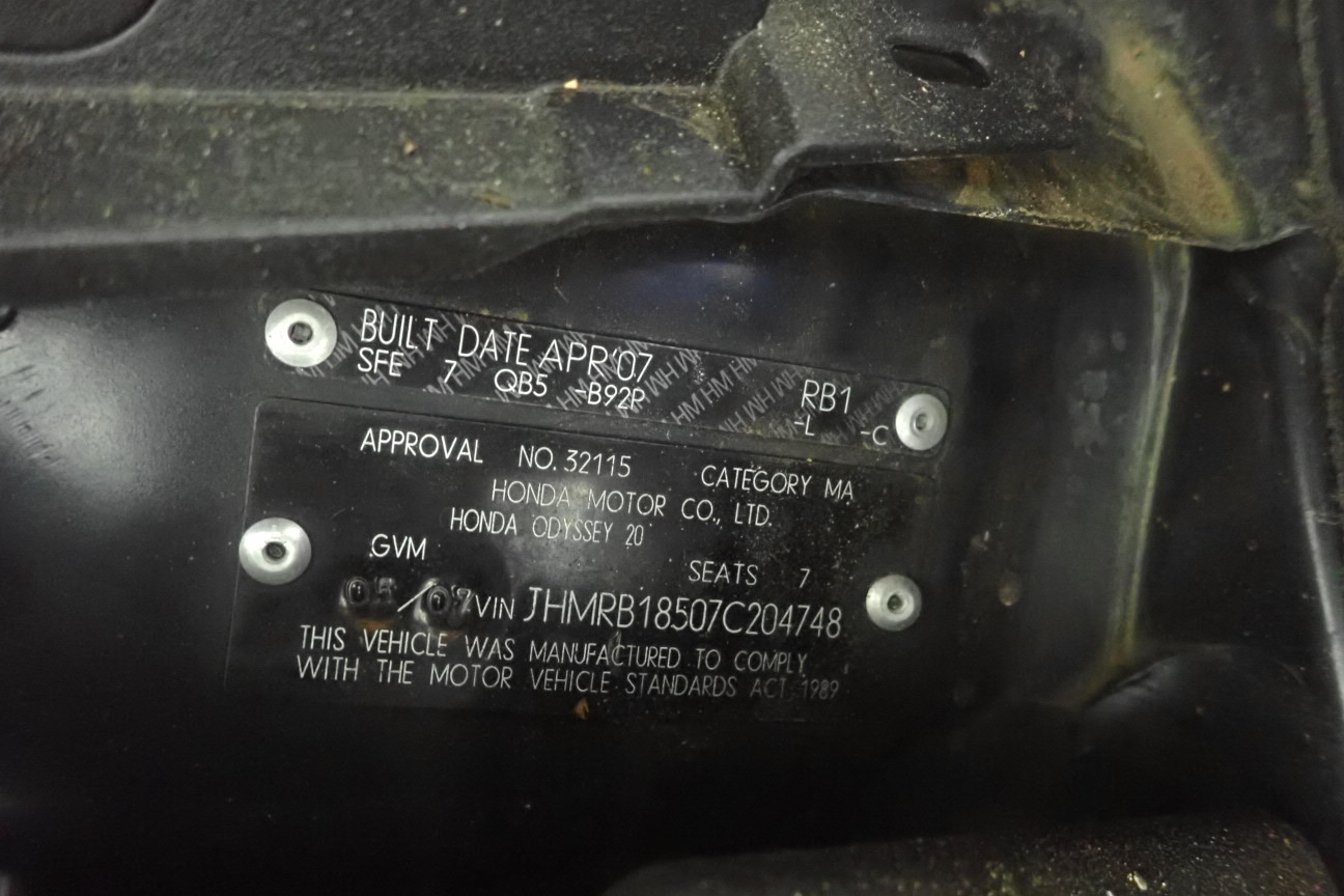 TERRA BY BATTAT Ceratosaurus Electronic Dinosaur with Light & Sound, For Ki