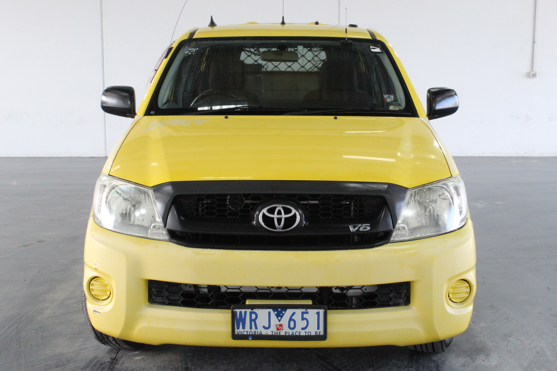 8-9mm Black Potato Pearl with Blister Pearl Necklace