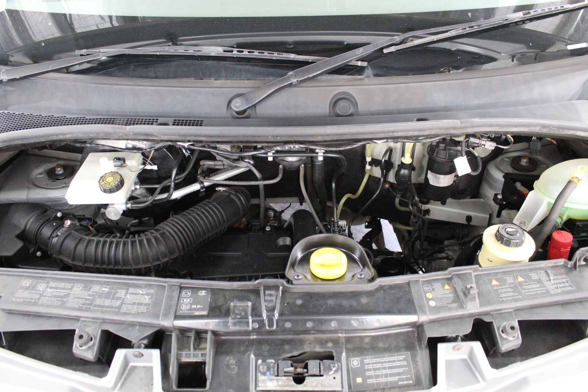 Snail Carpet Dryer Blowers