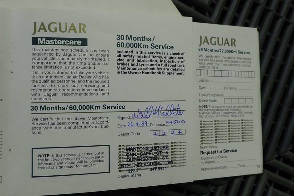 IRIS Top Entry Cat Litter Box, Black/Light Gray.